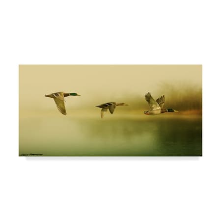 Carlos Casamayor 'Ducks Flying' Canvas Art,24x47